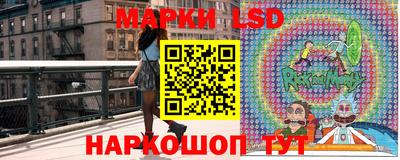 дмт Камышлов