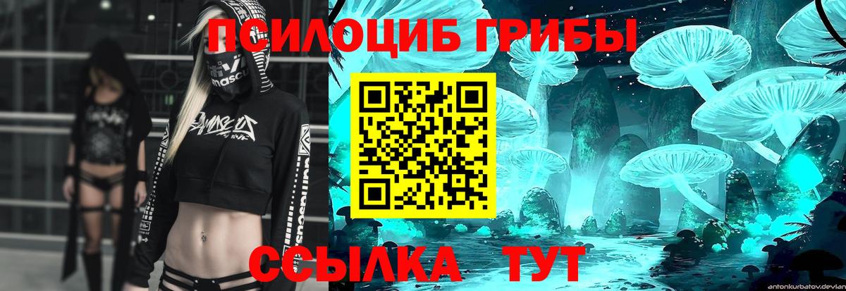 Галлюциногенные грибы ЛСД Зеленогорск
