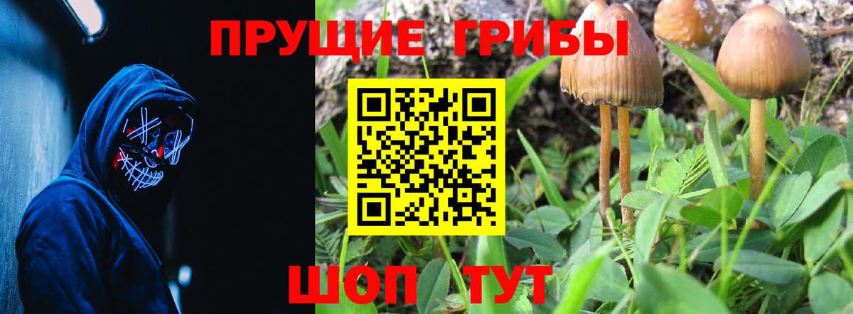 Псилоцибиновые грибы Magic Shrooms  Вход с VPN  Зеленогорск 