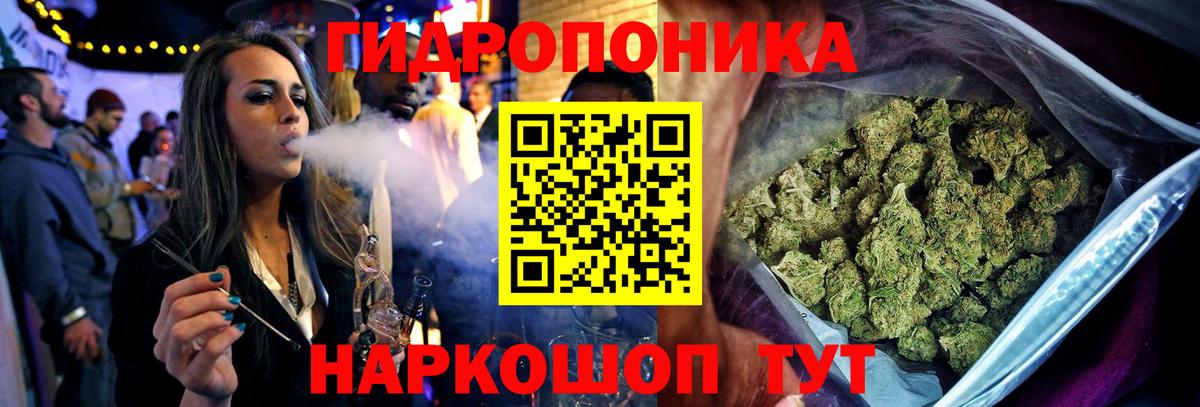 Марихуана индика  Марихуана марихуана  МАРИХУАНА MAZAR  Зеленогорск  Вход с VPN  Бошки марихуана гибрид 